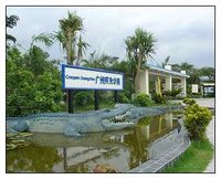 鱷魚公園