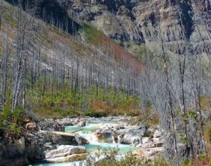 賈巴爾普爾 賈巴爾普爾