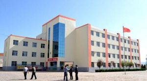 河西鎮二里學校 河西鎮二里學校