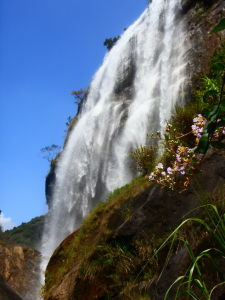 仙姑岩瀑布 仙姑岩瀑布