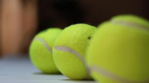 中華園網球俱樂部 中華園網球俱樂部