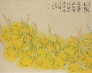何先球作品 《山果》