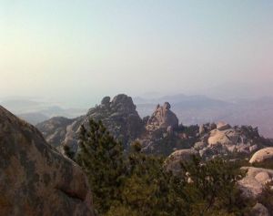 大河東森林公園 大河東森林公園