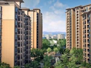 加州藍灣 加州藍灣