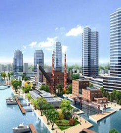 國家區域中心城市 國家區域中心城市