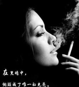 《你能否做我手中的煙》 《你能否做我手中的煙》