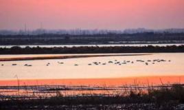 安山街道 安山街道