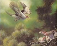 三燕龍城鳥 三燕龍城鳥