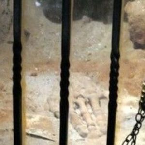 斷掌木乃伊 斷掌木乃伊