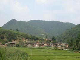 法澤村