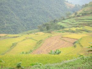 那舊自然村 那舊自然村