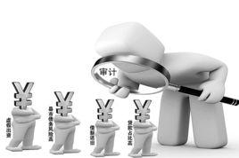 專項審計 專項審計