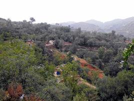 焉家莊村 焉家莊村