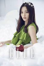 蘭茵[電視劇《軒轅劍之漢之雲》角色]