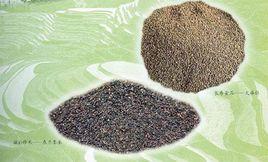 東蘭墨米 東蘭墨米