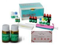 黃體生成素 黃體生成素