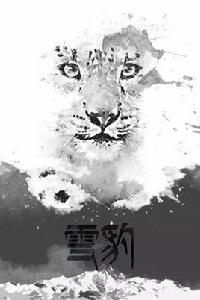 雪豹[中央電視台紀錄頻道播出的紀錄片]