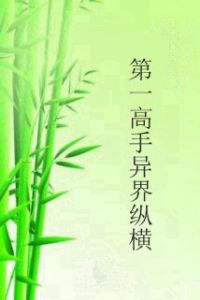 第一高手異界縱橫 第一高手異界縱橫