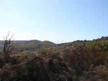 相思川森林休閒觀光景區