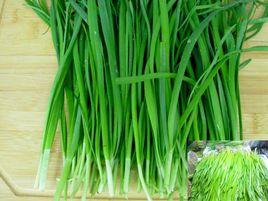 高密夏莊大金鉤韭菜 高密夏莊大金鉤韭菜