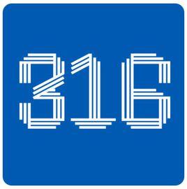 316 316