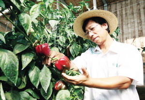 （圖）奧運蔬菜