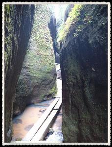 青龍巖風景區[位於江西省贛州市尋烏縣南橋鎮]