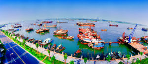 沙田鎮[廣東省沙田鎮]