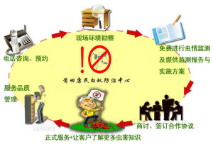 莆田康民白蟻防治中心服務流程