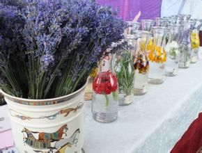 薰衣草產業發展