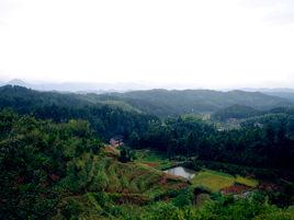 群山萬壑 群山萬壑