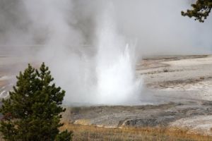 美國黃石國家公園的老忠實泉