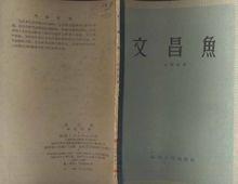 金德祥[廈門大學教授]