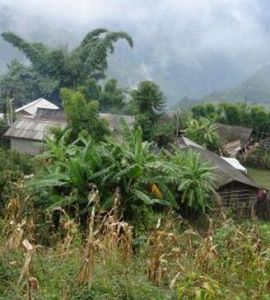 阿尼大地自然村 阿尼大地自然村