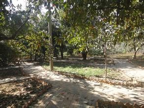 劉安然村 劉安然村