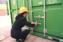 貨櫃和理貨清單信息