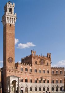 錫耶那大學 錫耶那大學