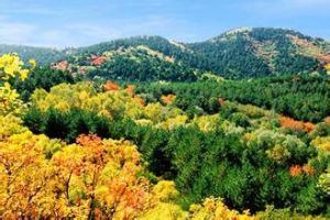 梅洞山自然風景區 梅洞山自然風景區