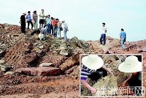 株洲恐龍地質公園