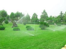 張店區實驗中學