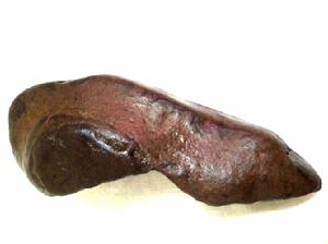 ‘東坡肘子’肉形石