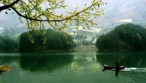 寬闊水自然動植物園 寬闊水自然動植物園