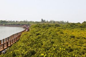 尖角地自然村 尖角地自然村