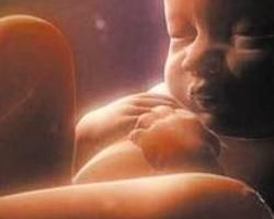 胎動頻繁 胎動頻繁