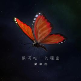 銀河唯一的秘密 銀河唯一的秘密