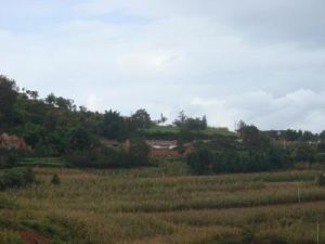 茶花箐村 茶花箐村