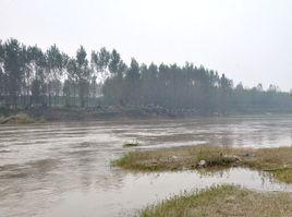 灃河[黃河支流渭河的支流]