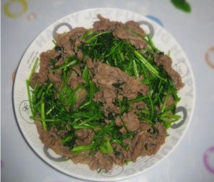 香菜炒羊肉片 香菜炒羊肉片