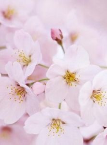 不計其數 不計其數