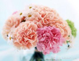 幸運花[星座幸運花]